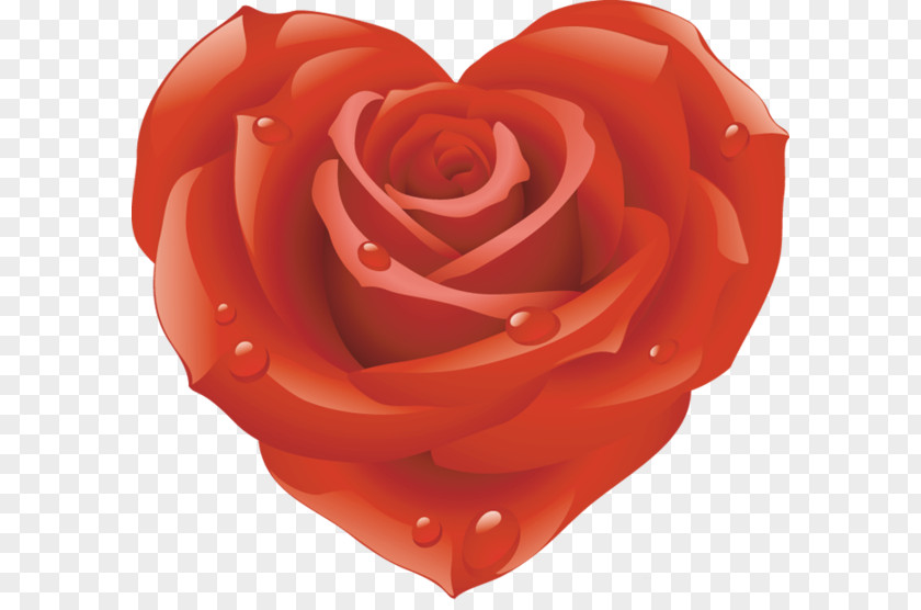 Rose Clip Art PNG