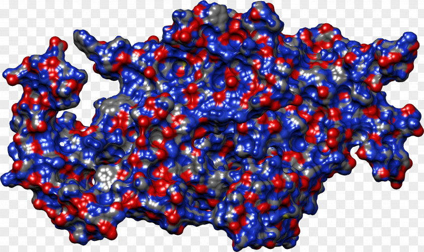 Sterilized Virus Antibody Point PNG