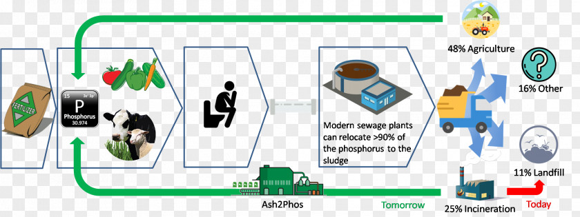 Technology Sewage Sludge Diagram Incineration Treatment Phosphorus PNG