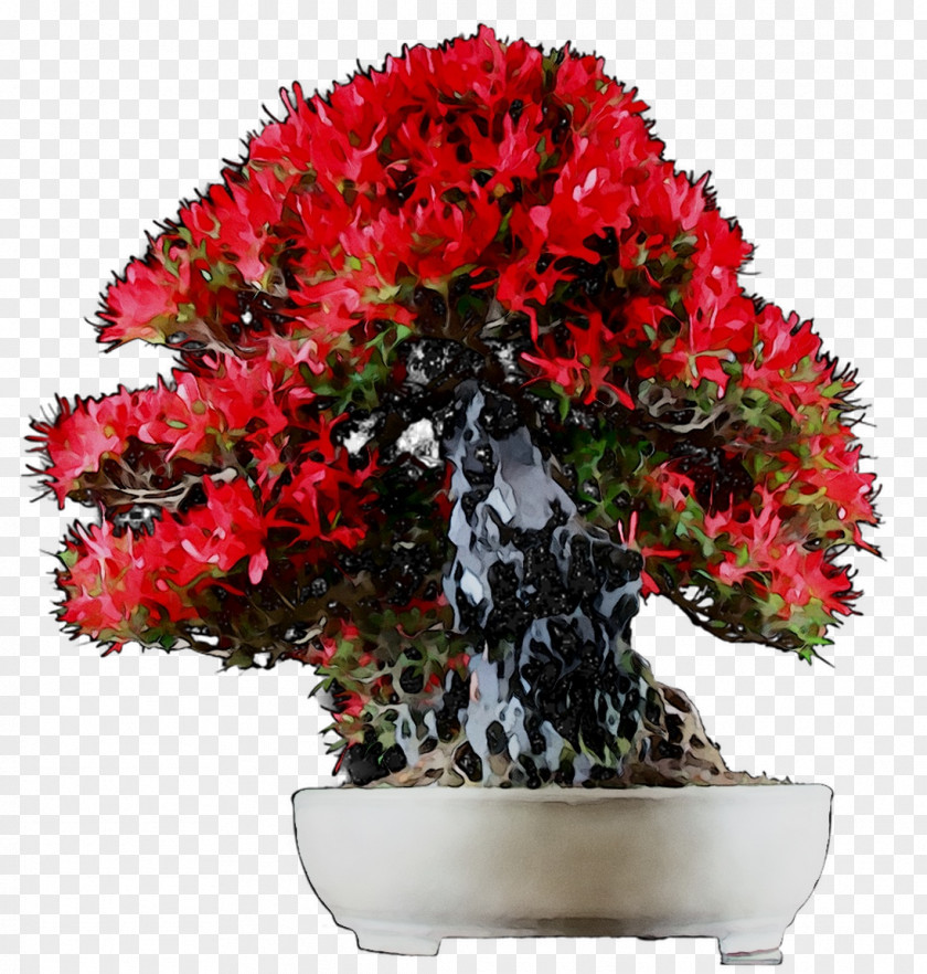 Azalea Floral Design Flowerpot Cut Flowers Bonsai PNG