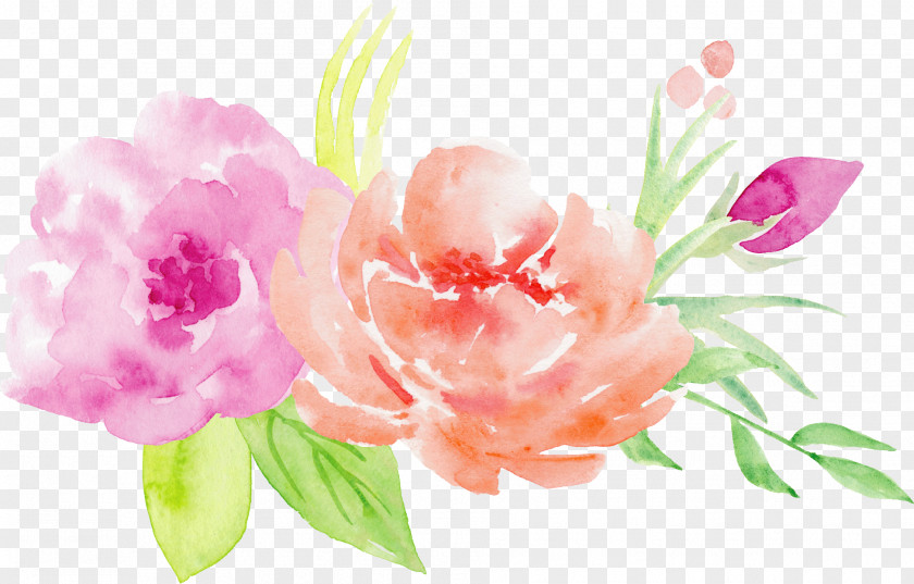 Bouquet Of Roses Decorative Pattern Watercolor Painting Flower Illustration PNG