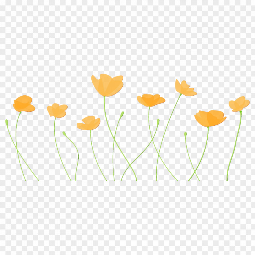 Flower Yellow Plant Chamomile Stem PNG
