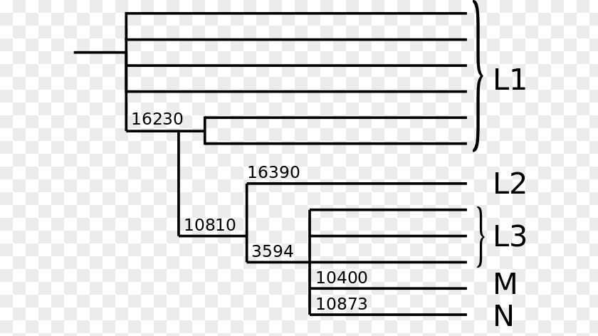 Human Tree The Seven Daughters Of Eve: Science That Reveals Our Genetic Ancestry Mitochondrial DNA Haplotype Eve Haplogroup PNG