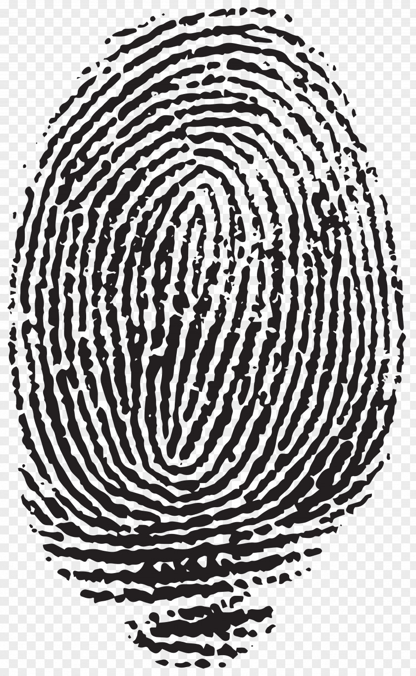Fingerprint Clip Art Image Hallongrotta PNG