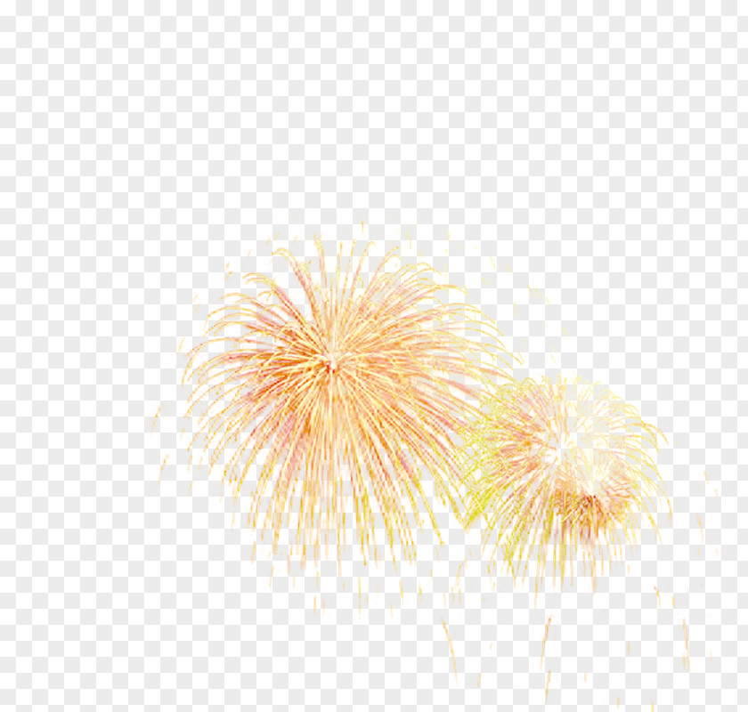 Fireworks Download PNG