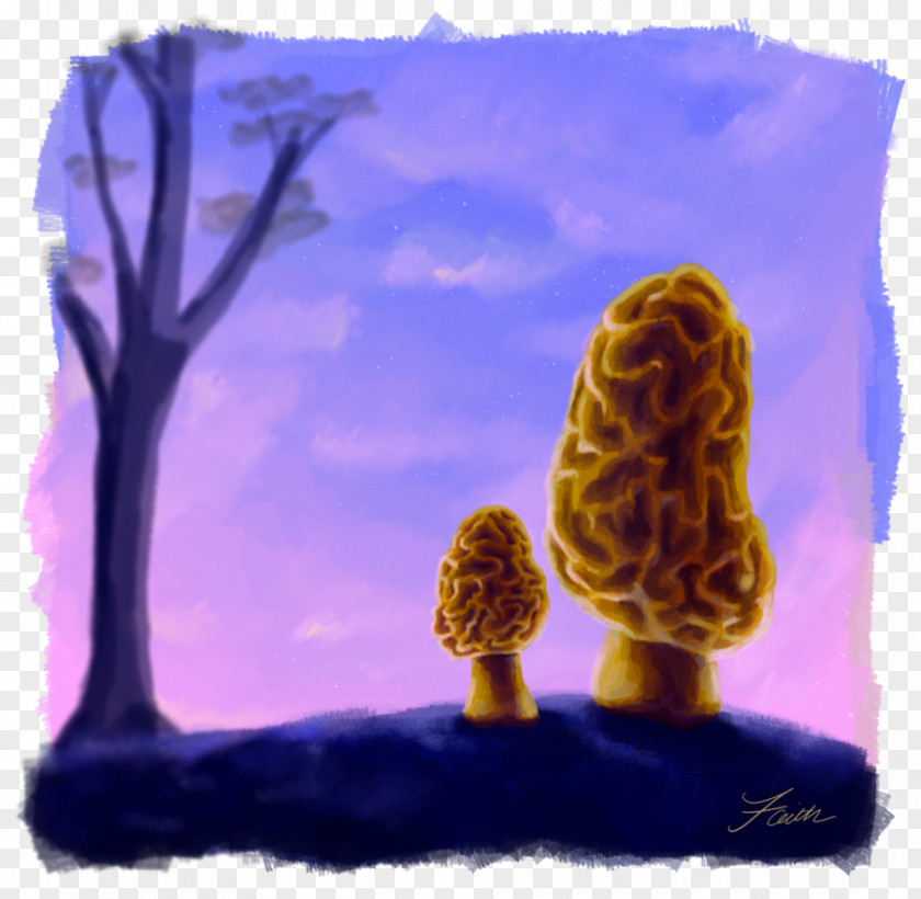 Morchella Picture Frames Organism Sky Plc Image PNG