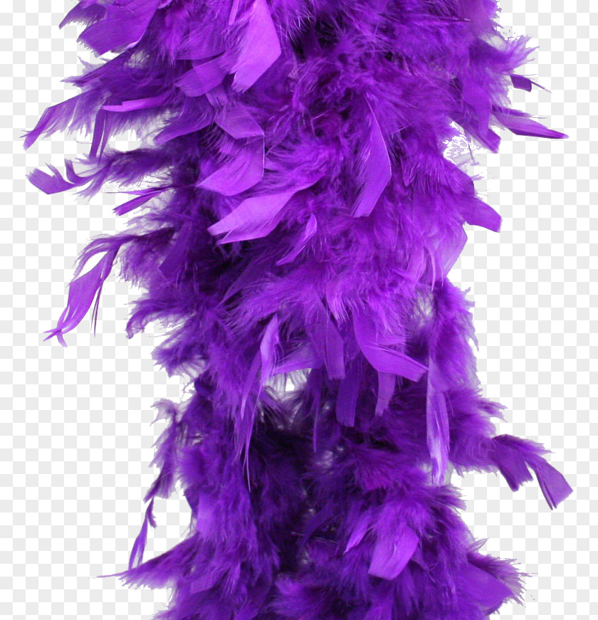 Feather Boa Purple Costume Party PNG