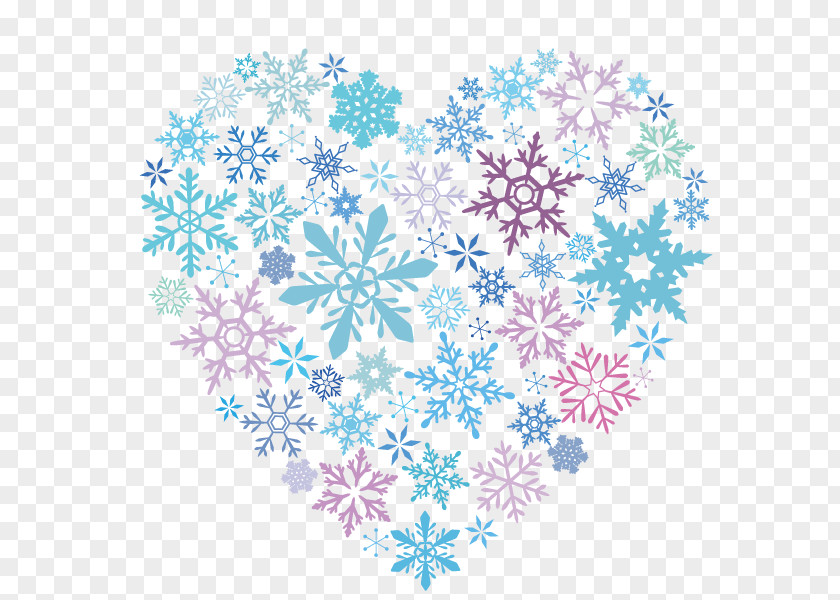 Snow Snowflake Crystal Winter Color PNG