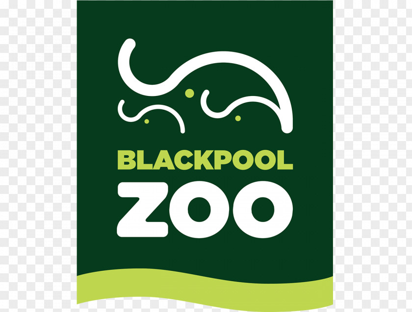 Blackpool Zoo Asian Elephant Tourist Attraction British And Irish Association Of Zoos Aquariums PNG