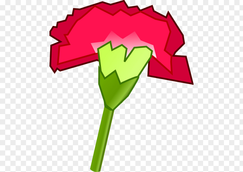 Carnation Cliparts Ohio Stock.xchng Clip Art PNG