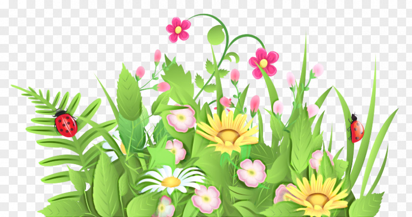 Floral Design PNG