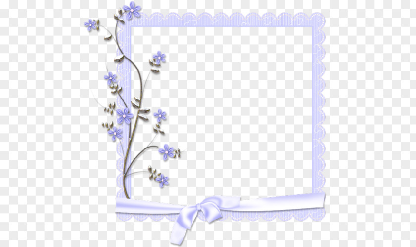 Flower Paper Picture Frames Photography Clip Art PNG