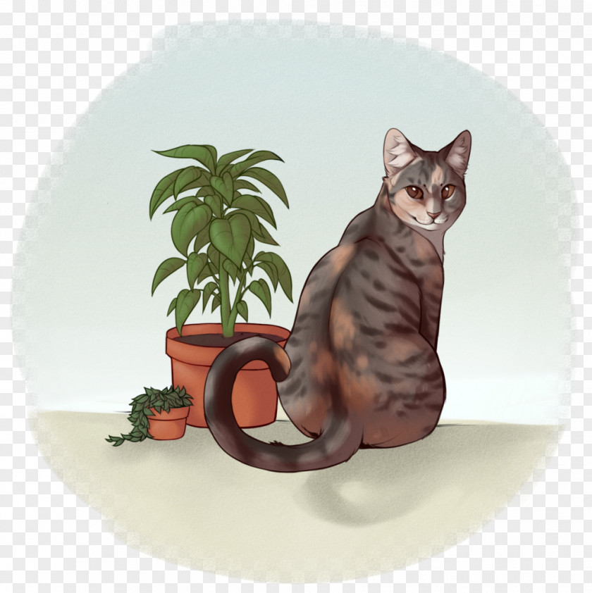 Kitten Tabby Cat Whiskers Flowerpot PNG