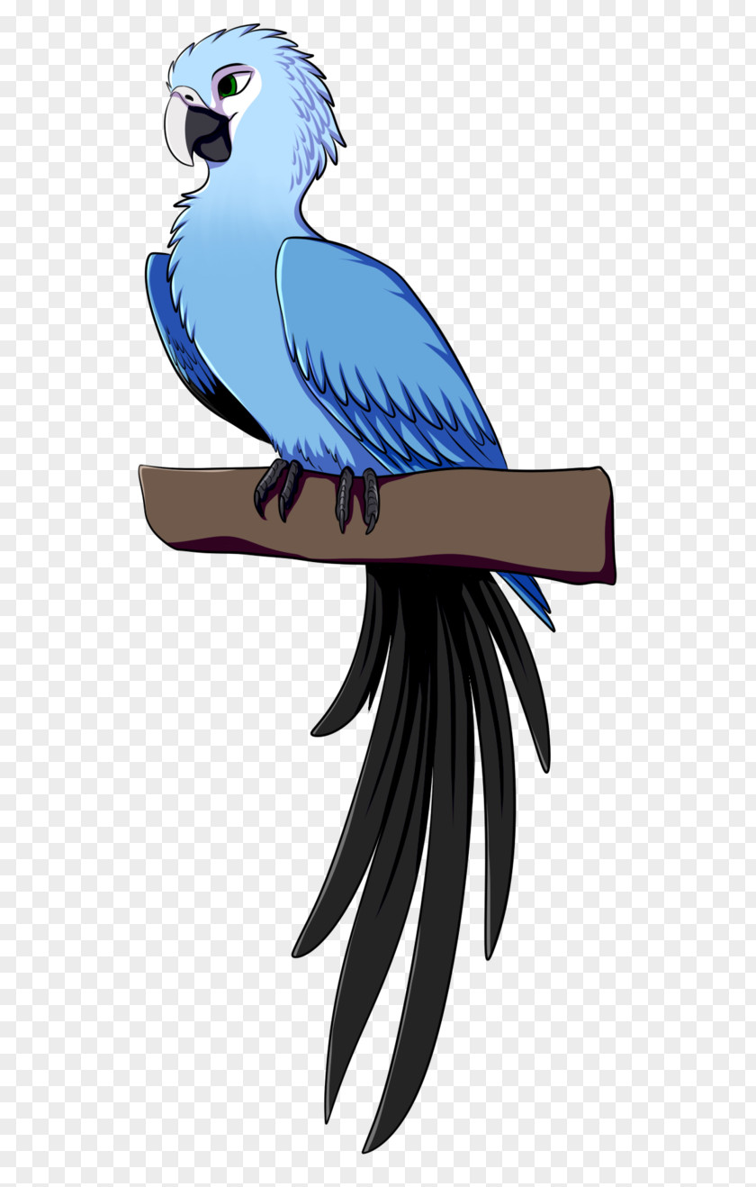 Macaw Parrot Bird Spix's Parakeet PNG