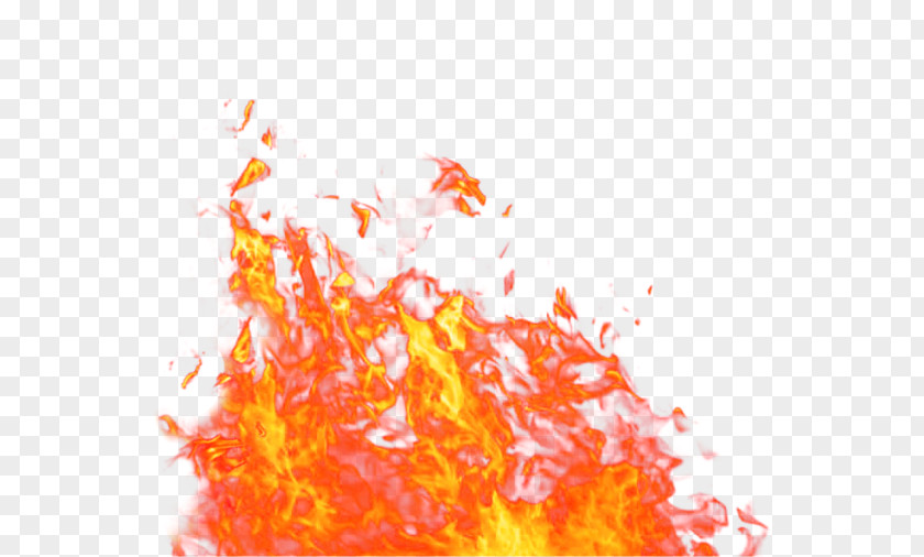 Orange Fresh Flame Effect Element Fire PNG