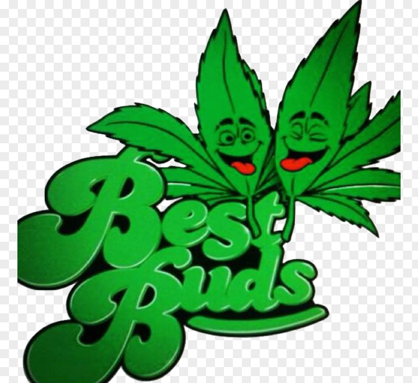 Cannabis Best Buds Kush Medical PNG