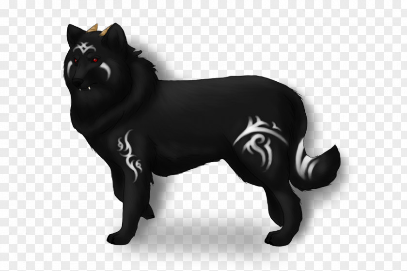 Cat Schipperke Black Whiskers Dog Breed PNG