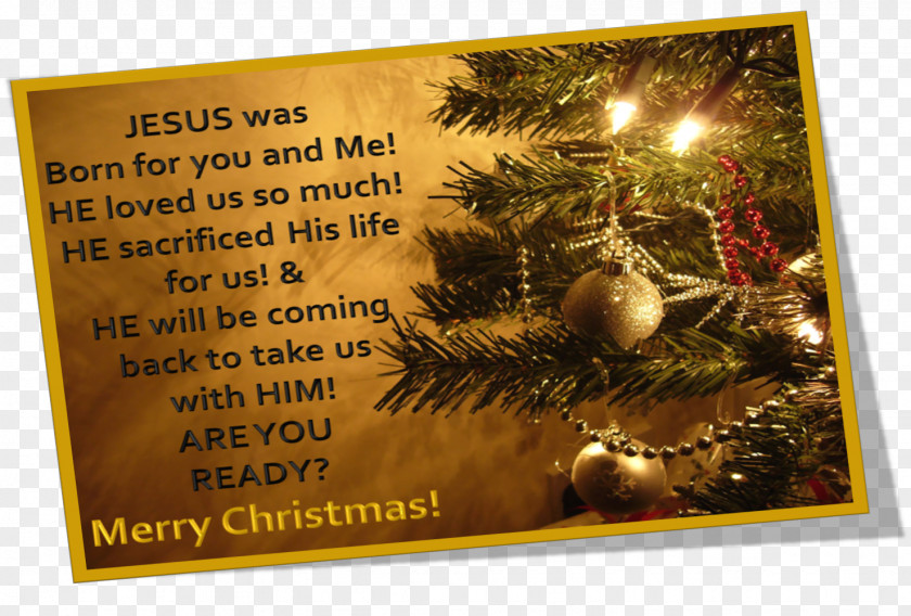 Christmas Nativity Of Jesus Wish Greeting & Note Cards Santa Claus PNG
