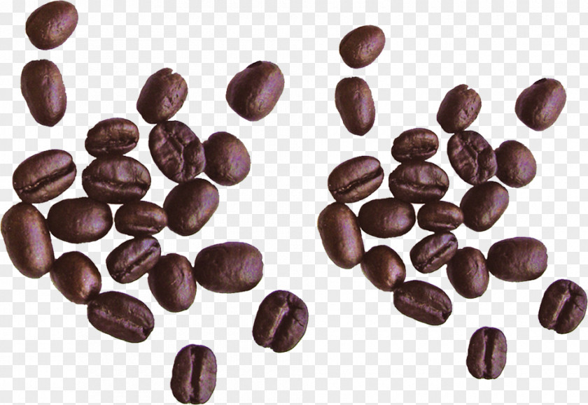 Coffee Cafe Chocolate-covered Bean Espresso PNG