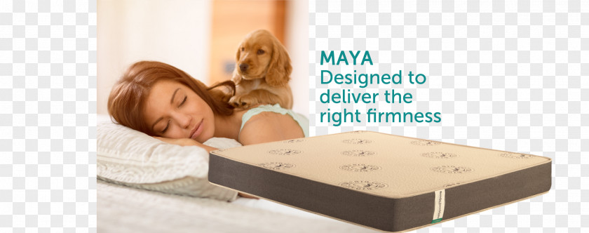 Mattress Firm Bed Frame Simmons Bedding Company PNG