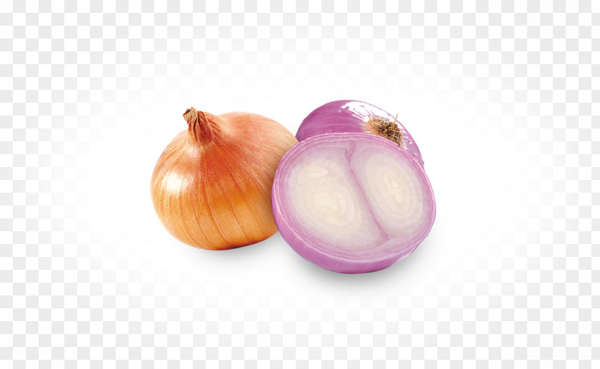 Onion Fried Red Food Shallot Ingredient PNG