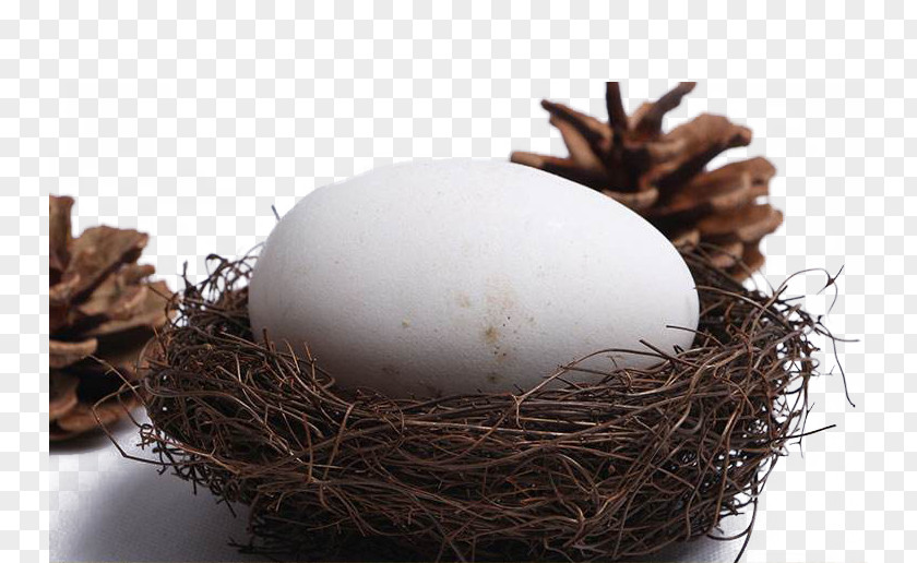 The Eggs In Goose's Nest Domestic Goose Tea Egg PNG