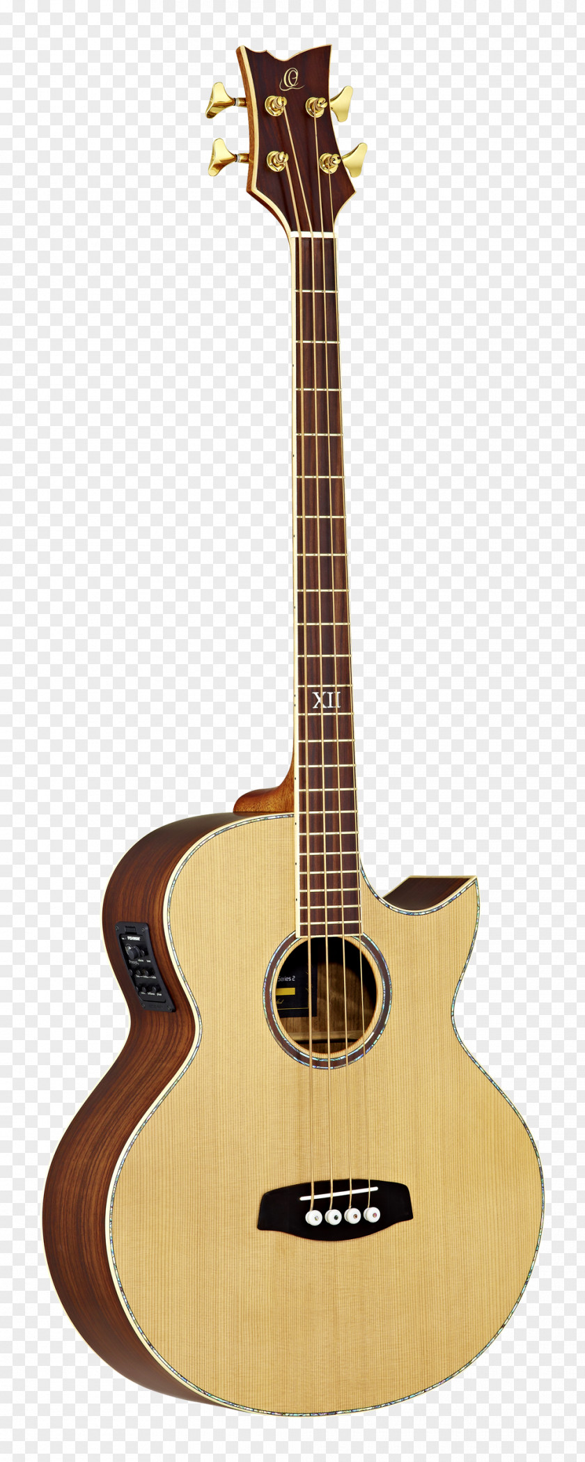 Amancio Ortega Musical Instruments Acoustic Guitar Ukulele Bass PNG