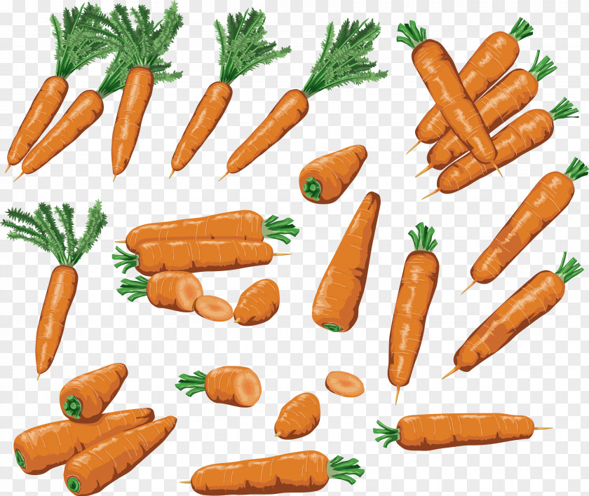 Carrots Image Baby Carrot Root Vegetables Food PNG