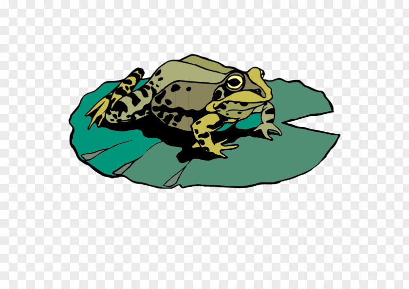 Cartoon Frog Amphibian Mallard U4e16u754cu91ceu751fu52a8u7269 Duck PNG