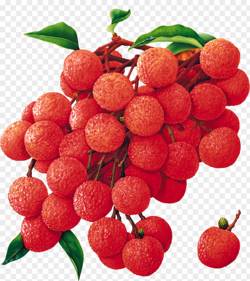 Lychee Tropical Fruit Tree China 3 Food PNG