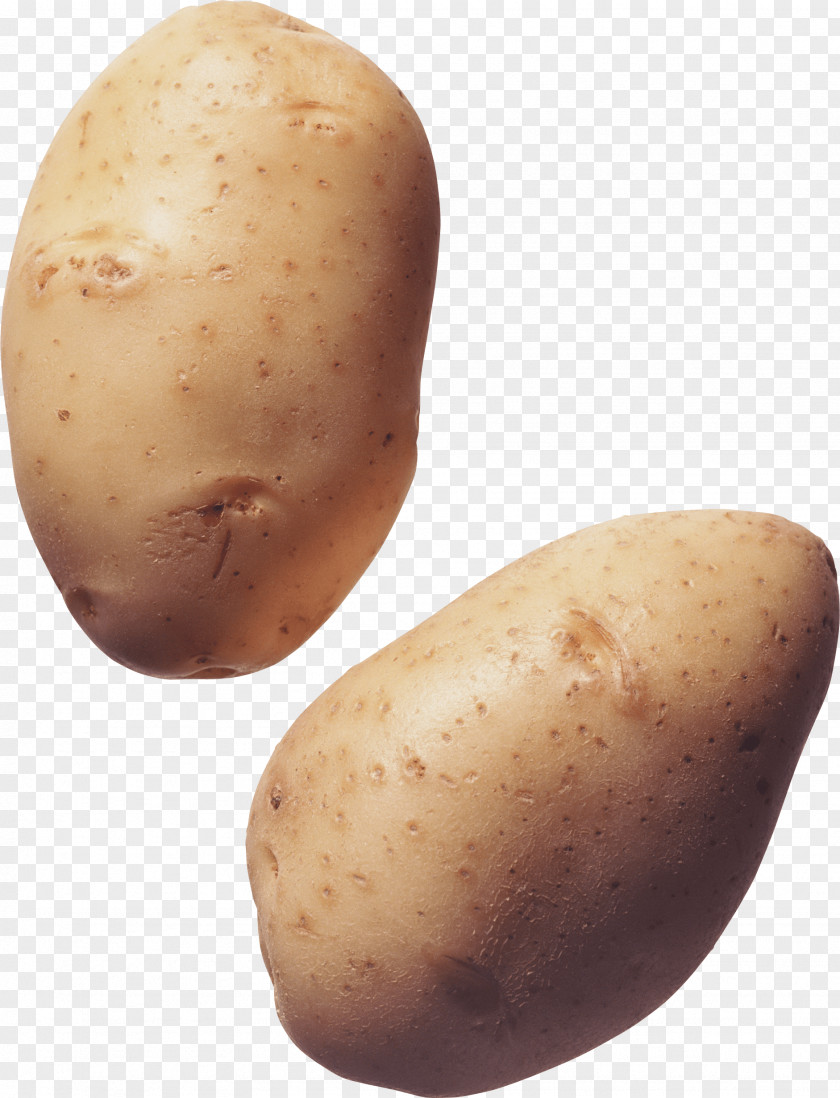 Potato Images Icon PNG