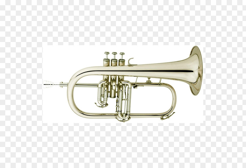 Trumpet Cornet Flugelhorn Saxhorn Mellophone PNG
