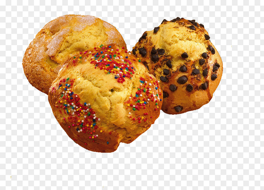 Bun Pan Dulce Bakery Panettone Portuguese Sweet Bread PNG