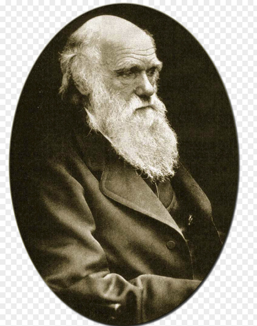 Charles Darwin On The Origin Of Species Voyage Beagle Young Evolution Darwinism PNG