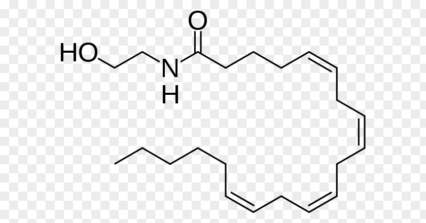 Brain Anandamide Molecule Tetrahydrocannabinol Cannabinoid Receptor Endocannabinoid System PNG