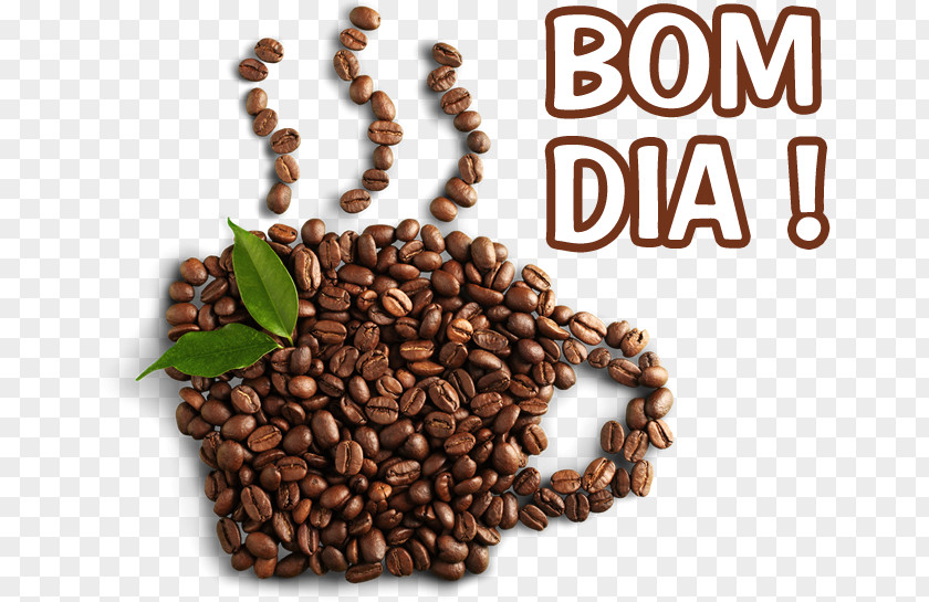 Coffee Jamaican Blue Mountain Caffeine Bean Kona PNG