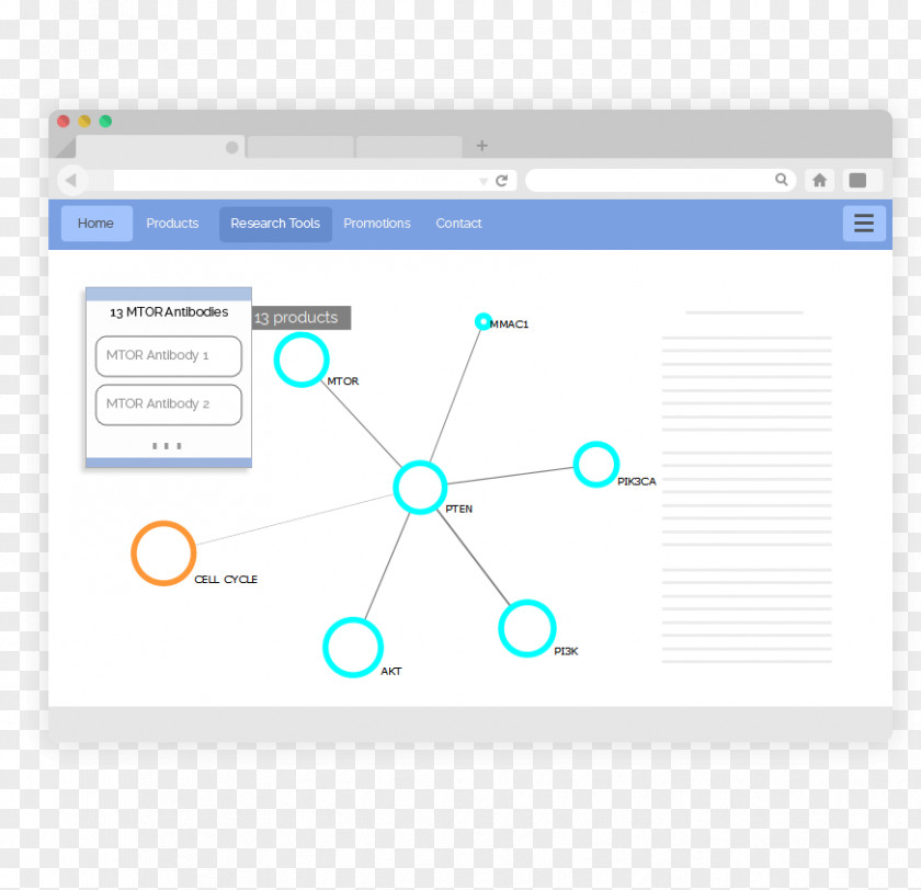 Design Brand Web Analytics Logo PNG