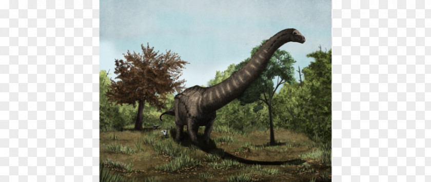 Dinosaur Dreadnoughtus Velociraptor Talenkauen Deinonychus PNG
