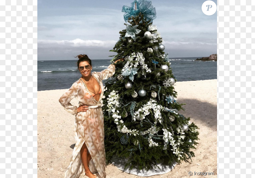 Eva Longoria Beach Celebrity Christmas Actor New Year Tree PNG