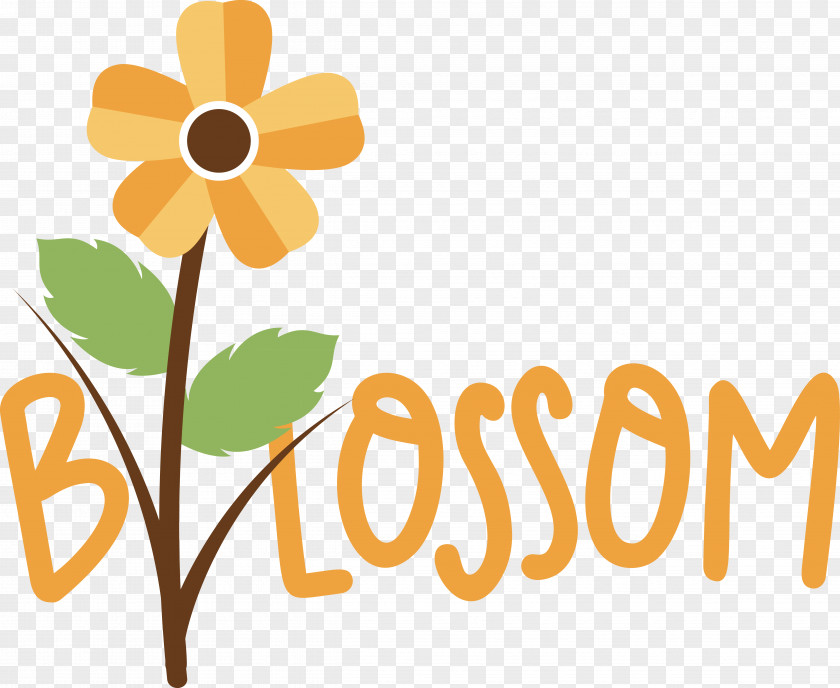 Floral Design PNG