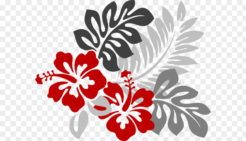 Flower Hawaii Drawing Rosemallows Clip Art PNG