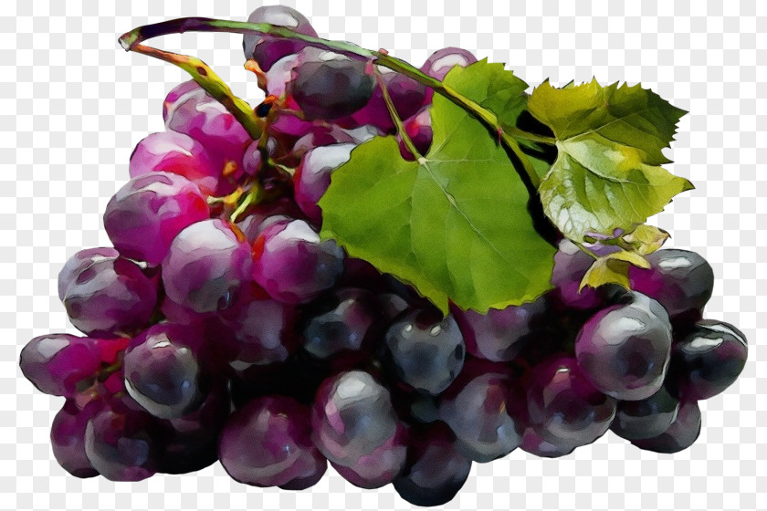 Flower Natural Foods Purple Watercolor PNG
