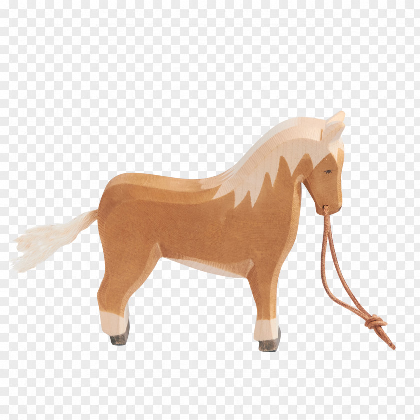 Horse Baby Mane Mustang Pony Stallion Mare PNG