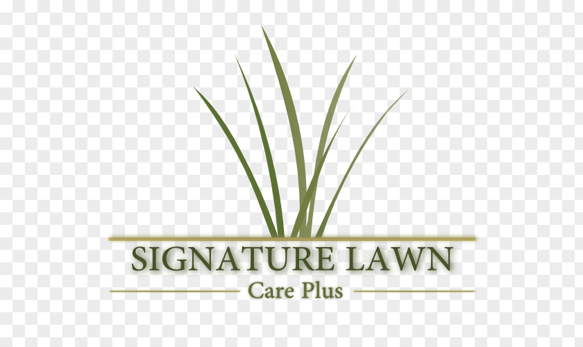 Landscaping Flyer Logo Font Hemp Grasses Plant Stem PNG