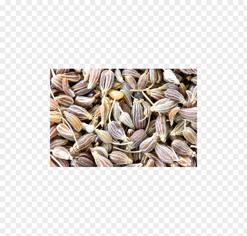 Oil Anise Fennel Seed Spice Flavor PNG