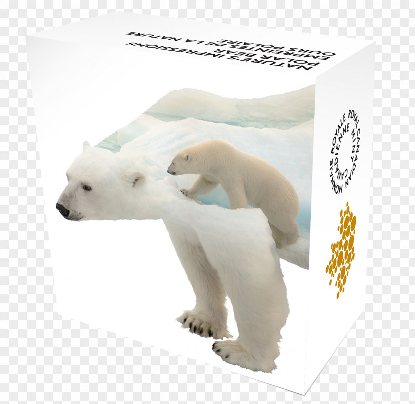 Paw Print Polar Bear Arctic Canada Silver PNG