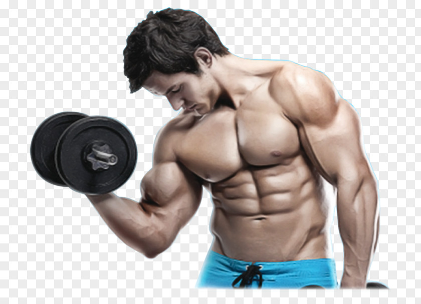 Bodybuilding Dietary Supplement Weight Training Exercise Muscle PNG