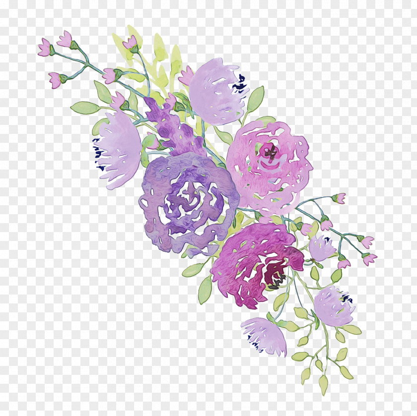 Cabbage Rose Garden Roses Floral Design Cut Flowers PNG