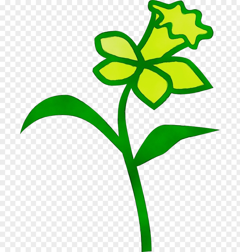 Flowering Plant Stem Green Clip Art Leaf Pedicel PNG