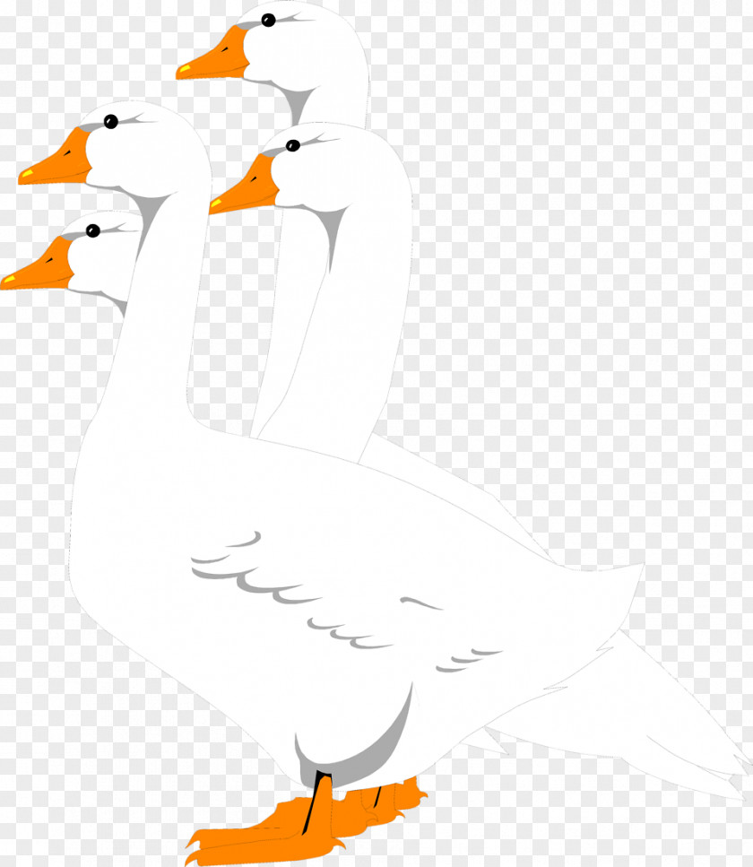 Goose Bird Flock Clip Art PNG